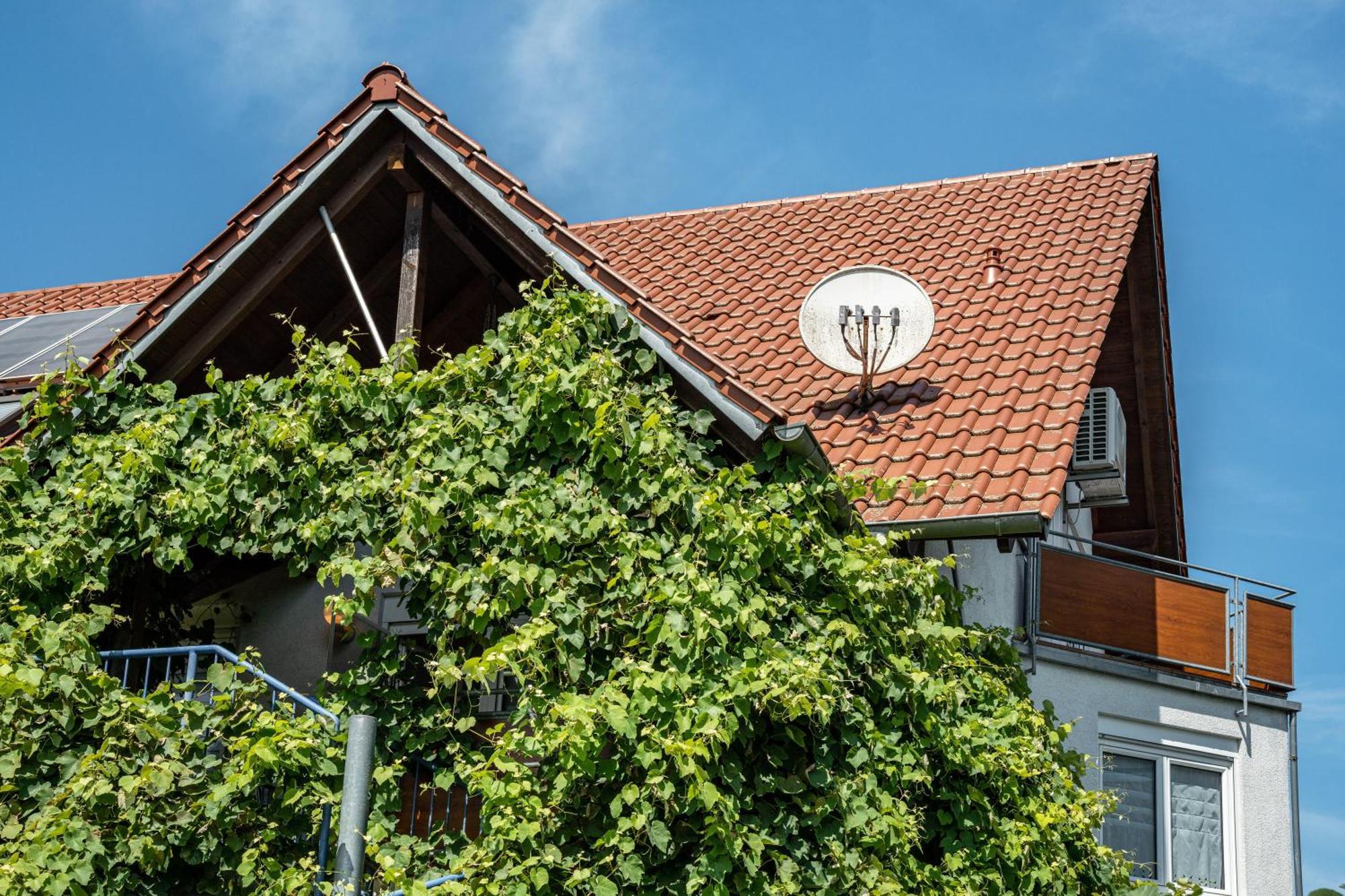 Ferienwohnung Leon Kappel-Grafenhausen Esterno foto
